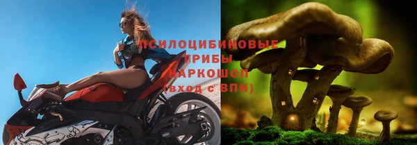 mdpv Вязники