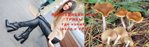 ALPHA-PVP Вяземский