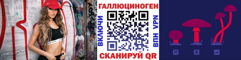 Галлюциногенные грибы Cubensis  Купить где  Соль-Илецк 